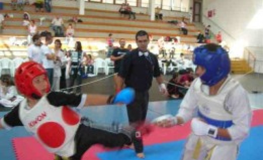 Területi kyokushin karate verseny - eredmények