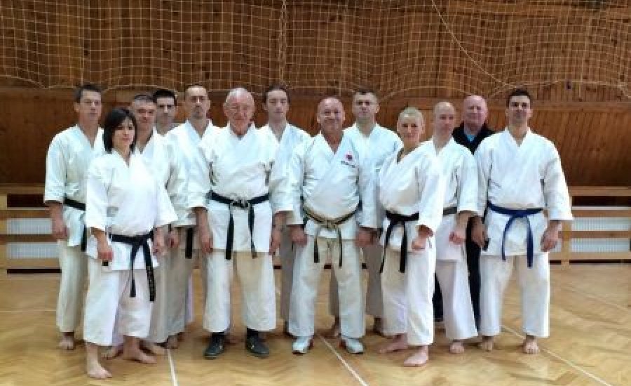 Karate: Kesic Bogdan nagymester 9 danos