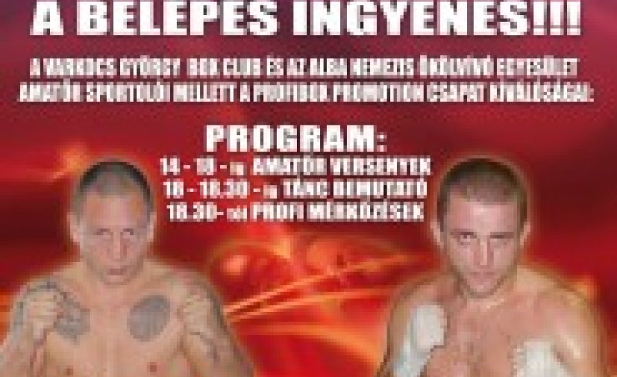 Profi ökölvívó gála október 10-én, Székesfehérváron