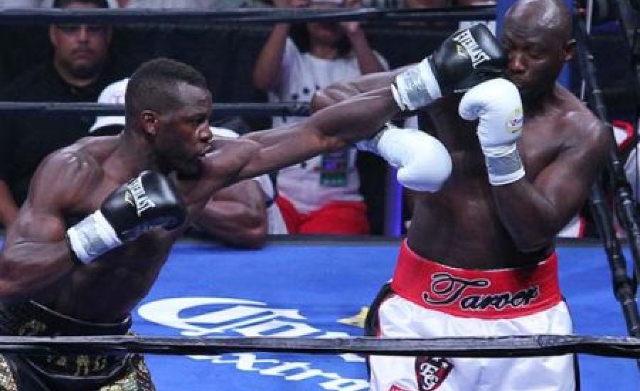 Tarver vs Cunningham: döntetlen