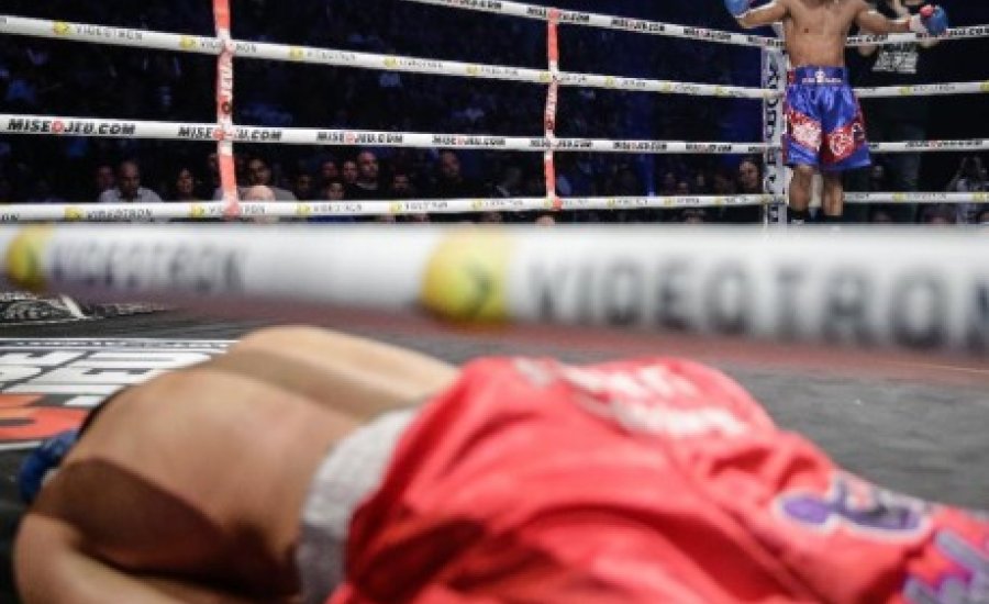 Bolonti bolondot csinált a bokszból