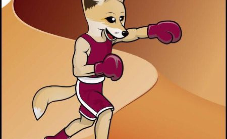 Bemutatkozott Majid a róka, a boksz-vb kabalaállatkája