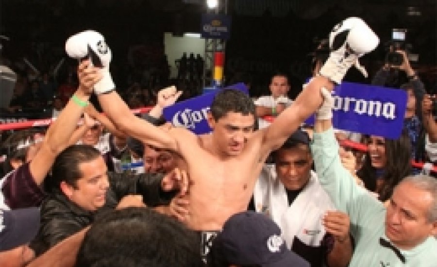 Kis súly, nagy bukta