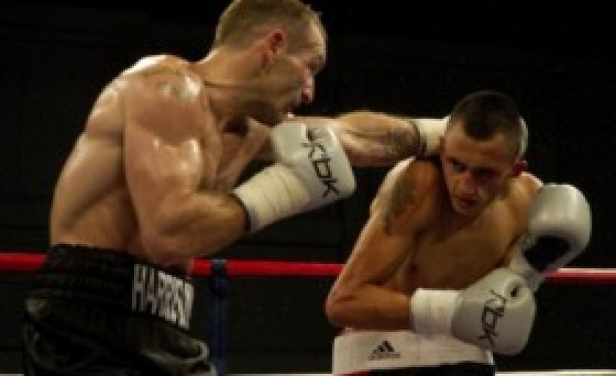 Harrison kiütéssel tért vissza Mizsei ellen