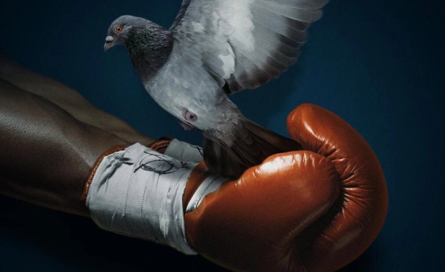 MIKE Trailer - Mike Tyson film kedvcsináló - videó