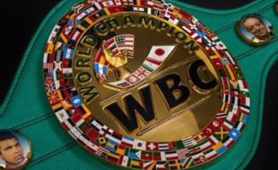 A WBC fülvédőt adna a bírókra