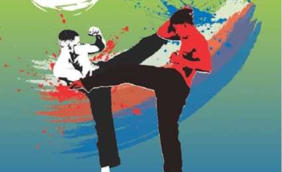 Kick-box Eb tatamin: Előttünk Maribor