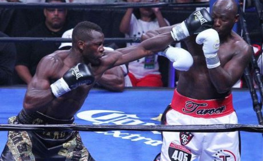 Tarver: készen állok Klicsko ellen