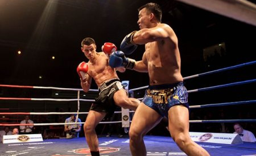 TEK Küzdősport gála: Dübörgött a ring