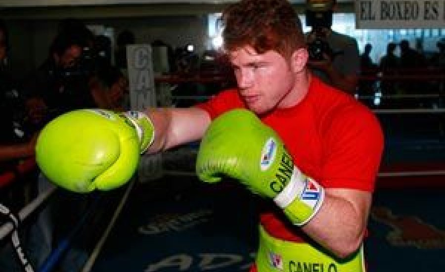 „Canelo” elkezdte a felkészülést