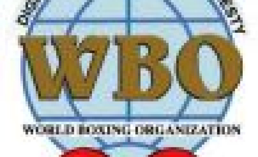 Két magyar is címmérkőzést bokszol Dessau-ban