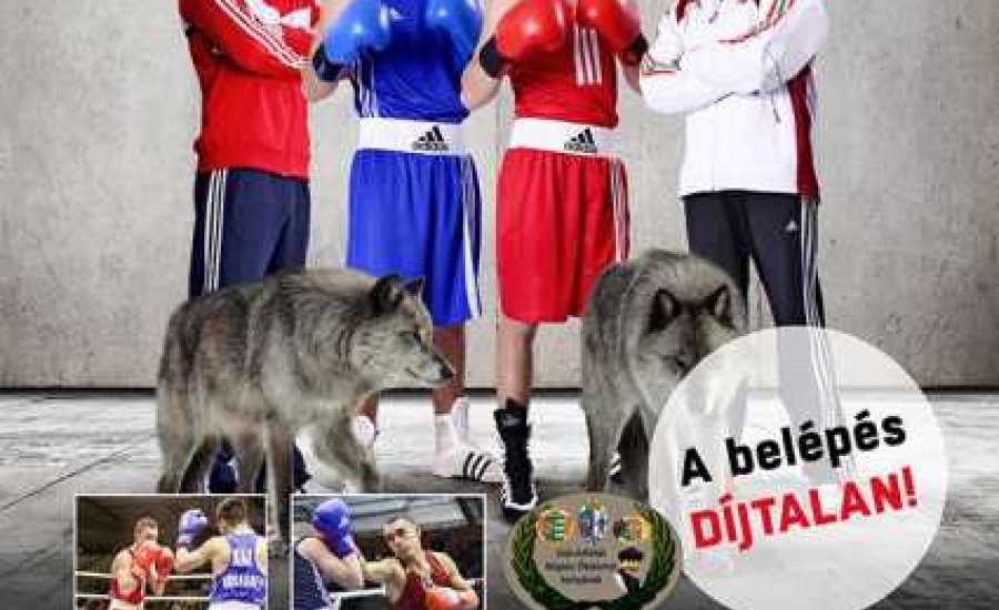 Hétvégi rendezvények Baján és Pécsett