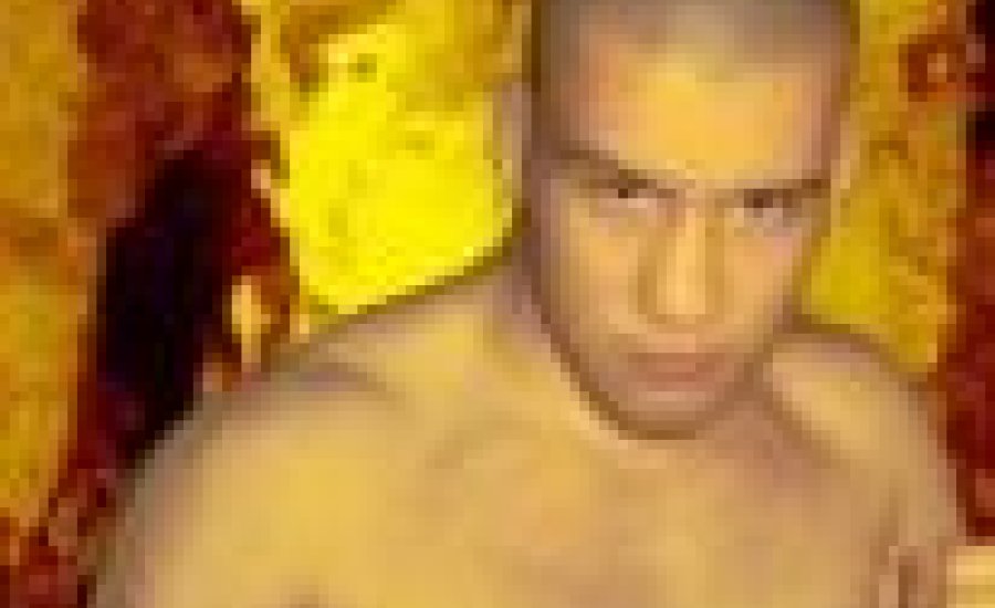 MMA: Totalfight Team - Ismét makulátlan szereplés