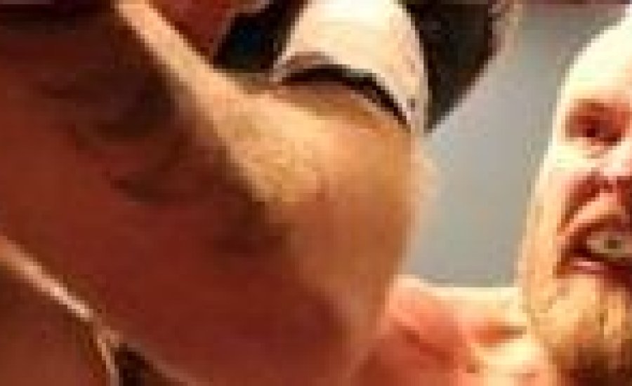 Robert Helenius vs. Franz Rill (video)