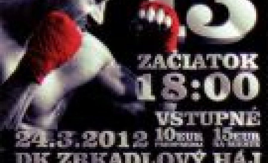 Pozsonyban meccsel négy magyar fighter