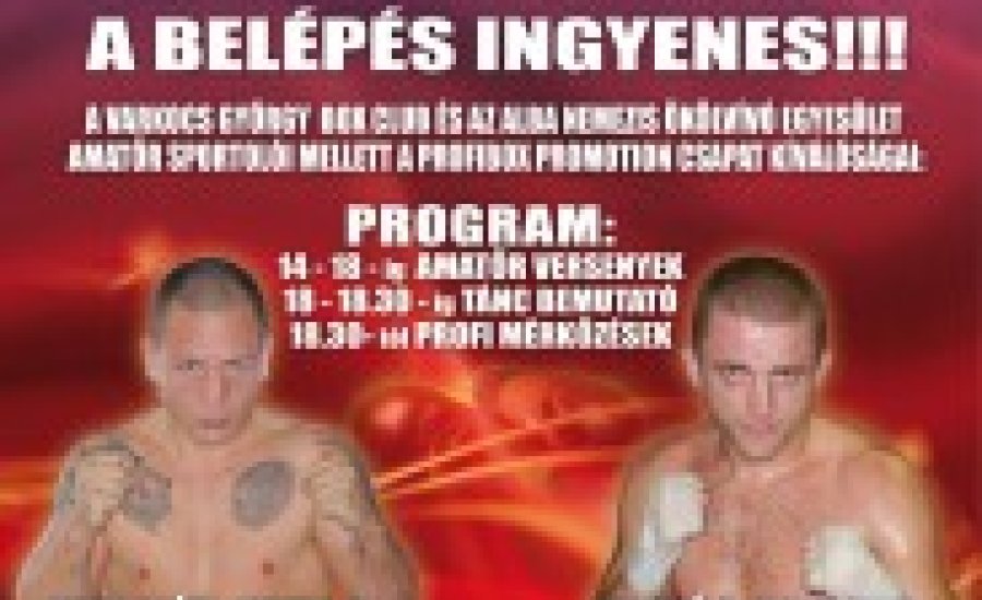 A szombati székesfehérvári gála profi programja