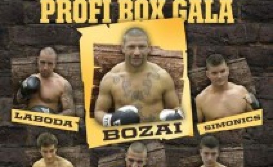 „Harcosok Éjszakája”: beszámoló a mérlegelésről