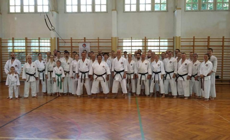 Shotokan karate nemzetközi tábor Gyulán