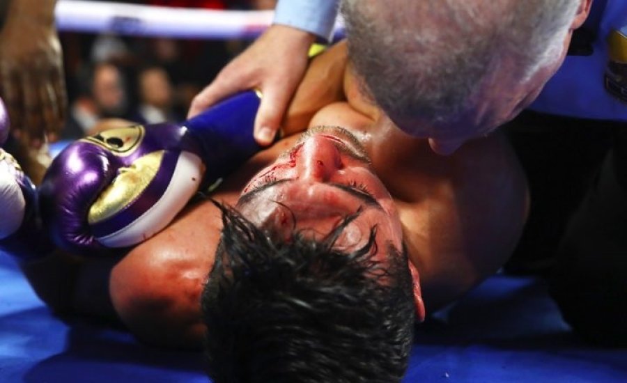 2019. legnagyobb profibox 50 kiütése