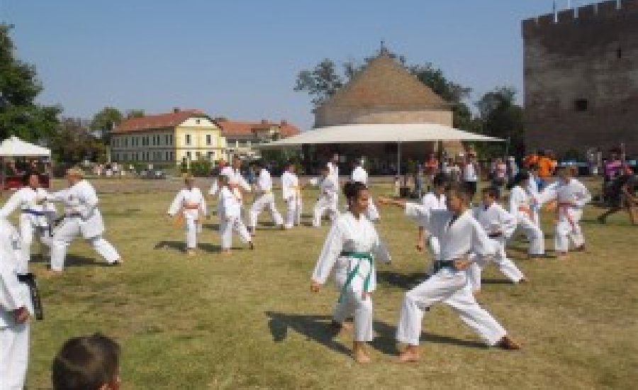 Karatésoknak tapsolhattak a nagycsaládosok Gyulán