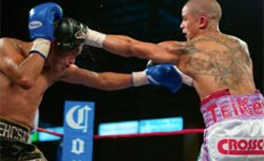 Wilfredo Vazquez Jr újabb TKO diadala