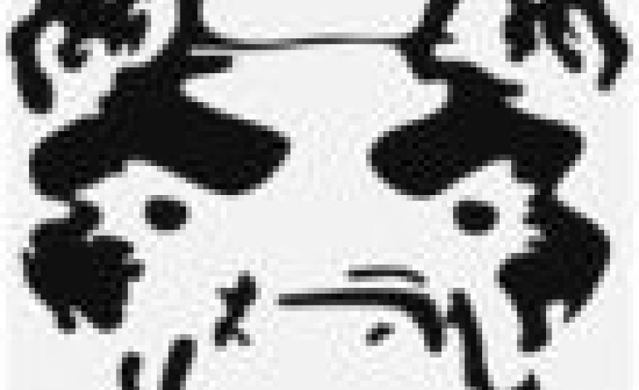 Pokoljáró Pitbullok a mezőtúri ketrecben