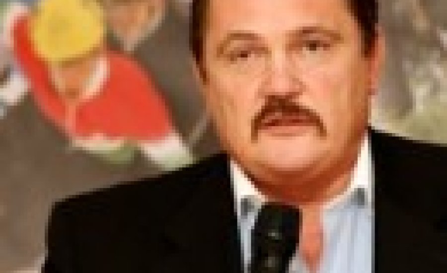 30 éves a Magyar Kick-box Szakszövetség, Leyrer maradt az elnök