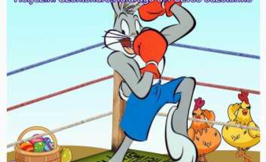 Nyuszi Kupa - a családi muaythai nap