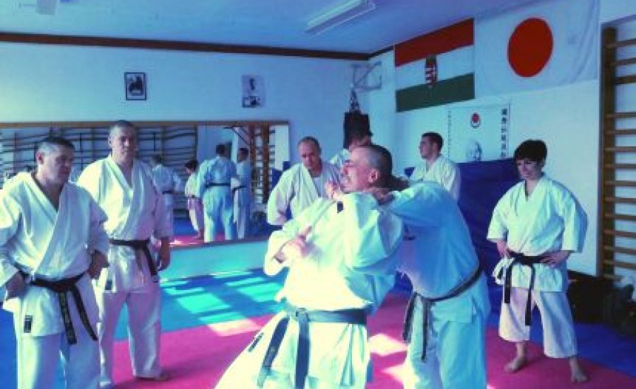 Karate szeminárium volt Keszthelyen