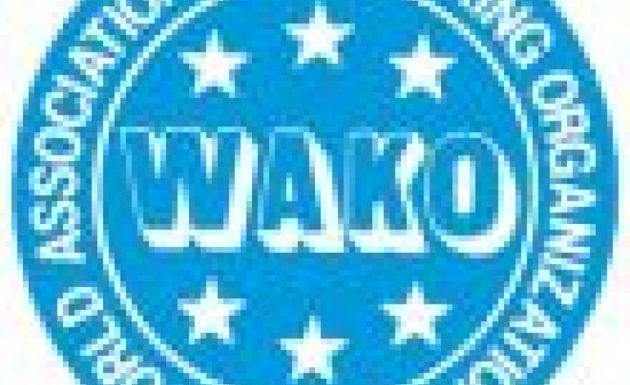 Újra kick-box világbajnokság: Irány Dublin!