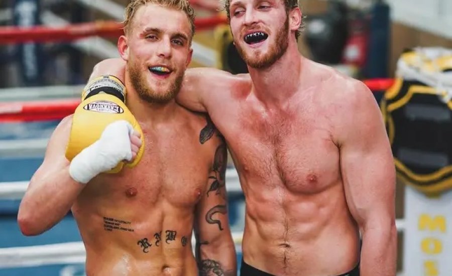 A Logan-testvérek felforgatják, vagy fellendítik az ökölvívást?