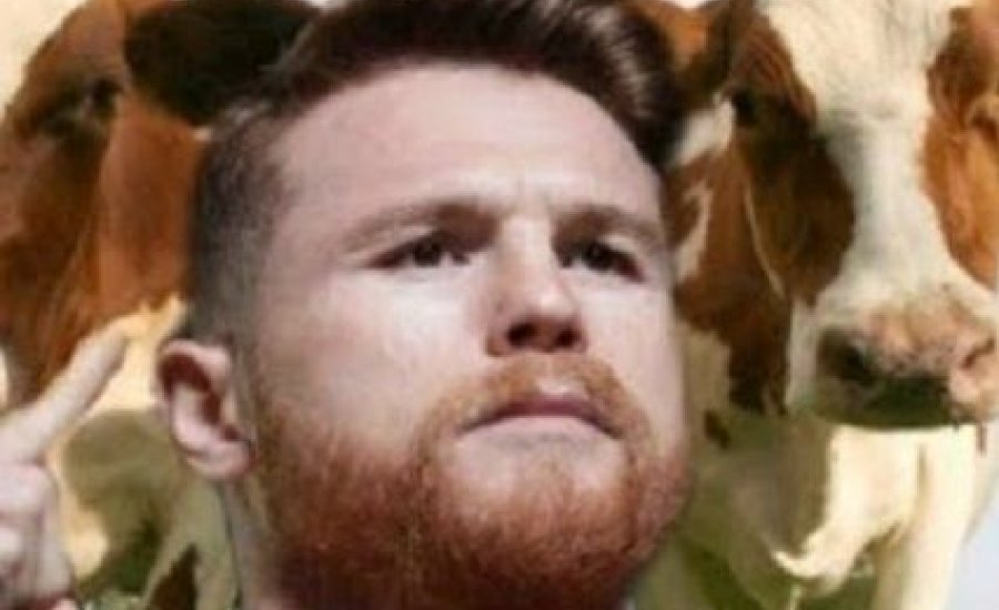 Dopping: Canelo elbukta a versenyengedélyét