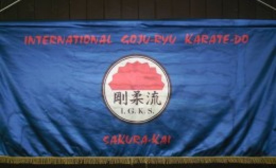 Harsányi László: „Egységesen, egy irányba!”