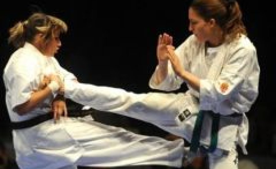 Két arany és két bronz a budapesti kyo vb-n