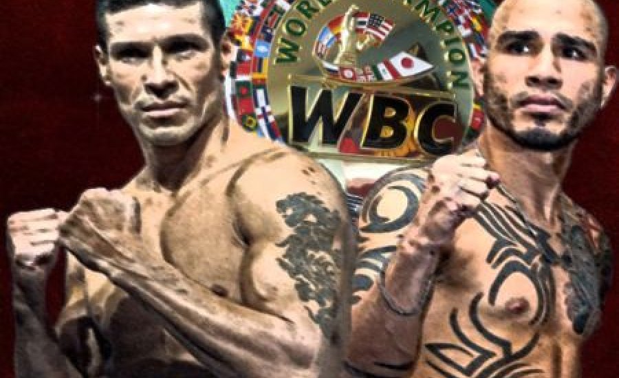 Martinez jó formában várja Miguel Cottót