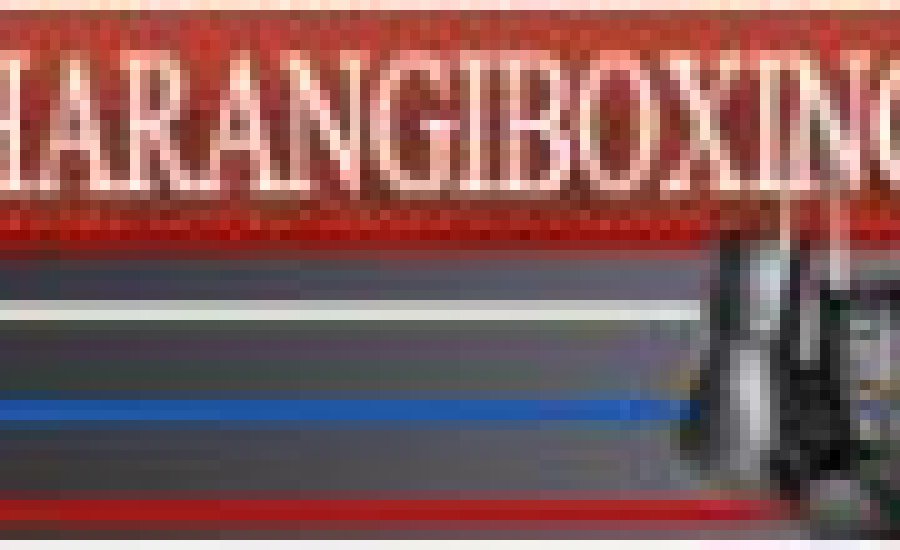 A HISE évértékelése