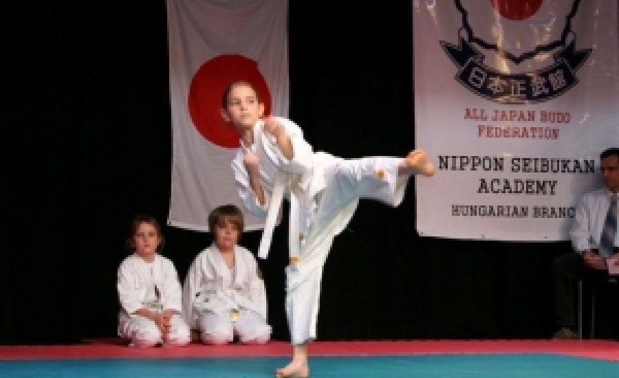 Az első óbudai Tai-jutsu verseny