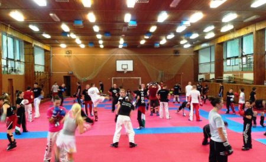 Kick-boksz vb: Gőzerővel folyik a felkészülés