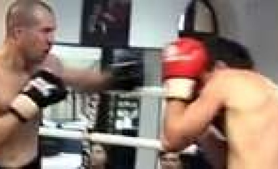 Profibox Promotion 2013.04.07. - összefoglaló