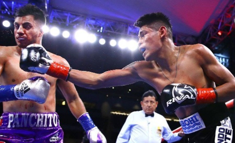 Navarrete KO sikere után bejelentették a következő meccsét is