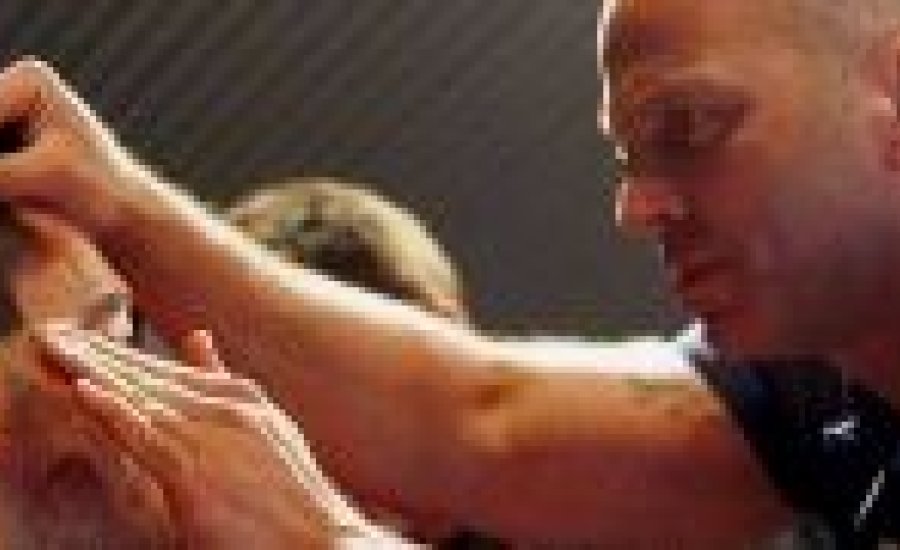 A bielefeld-i bokszgála összefoglalója