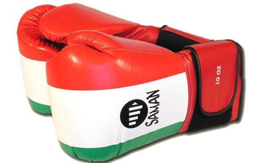 Elhalasztják a 70. Bornemissza Nemzetközi Ökölvívó Emlékversenyt