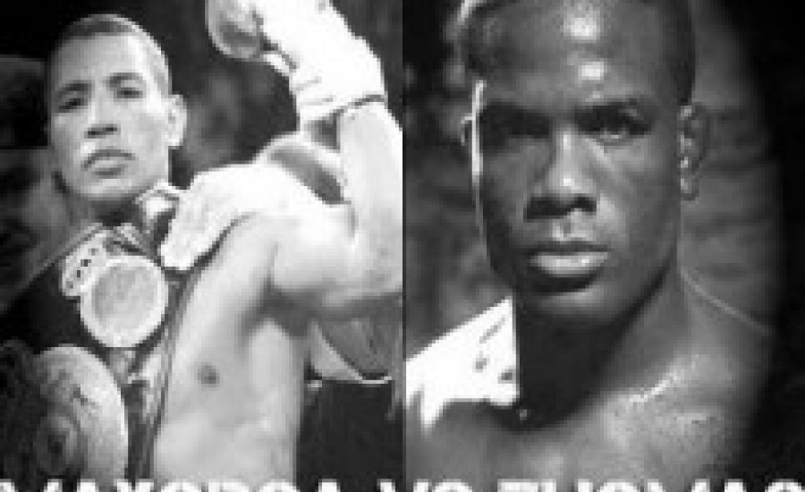 Ricardo Mayorga MMA-meccset vállalt
