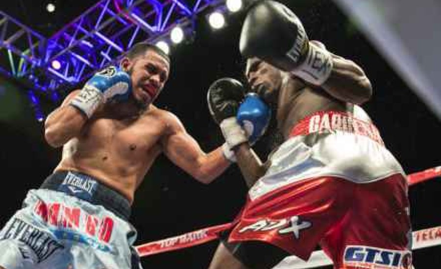 A „Kisbika” megint nyert