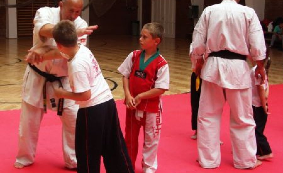 Harcművészek demonstráltak Kondoroson