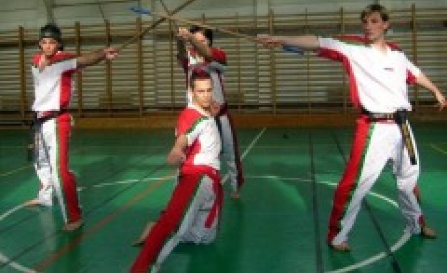 Sikeres kick-box DAN vizsgák Budapesten