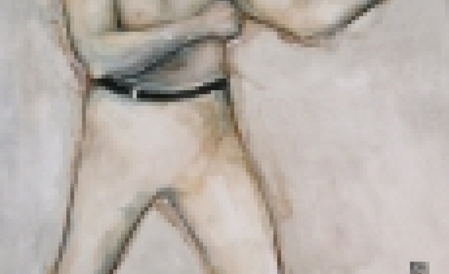 Feketelyuk a küzdősportok területén, eltűnik a nehézsúly?