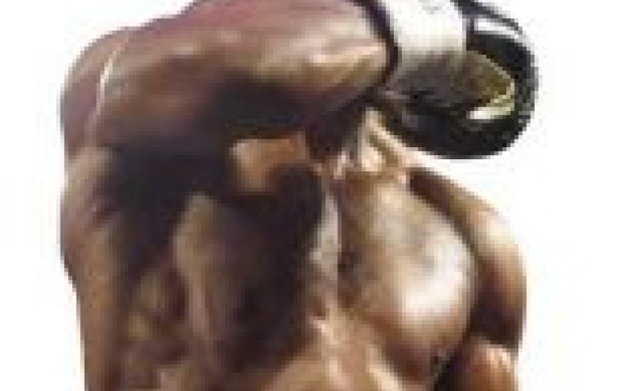 Hopkins eltörölné Kanadát a boxvilág térképéről