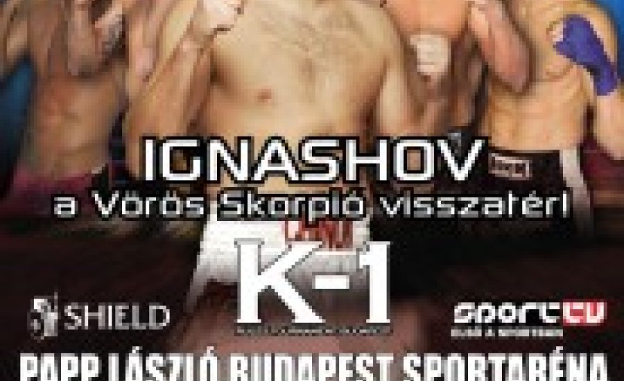 Görbics-Birics a Fight Code nemzetközi címéért