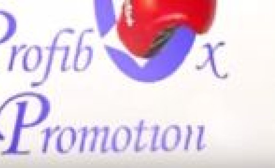 A Profibox Promotion augusztusi rendezvénye